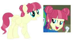 Size: 689x382 | Tagged: safe, artist:berrypunchrules, majorette, rainbow dash, sweeten sour, pegasus, pony, equestria girls, g4, my little pony equestria girls: friendship games, background human, equestria girls ponified, picture-in-picture, ponified, simple background, transparent background