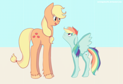 Size: 2599x1774 | Tagged: safe, artist:bukaa-a, applejack, rainbow dash, pegasus, pony, g4, abstract background, angry, duo, duo female, female, frown, long legs, mare, open mouth, open smile, size difference, smiling, smoldash, spread wings, unshorn fetlocks, wings