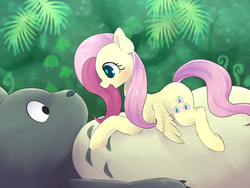 Size: 1600x1200 | Tagged: safe, artist:ayahana, fluttershy, g4, crossover, cute, my neighbor totoro, shyabetes, totoro