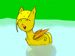 Size: 3200x2400 | Tagged: safe, artist:ampderg, oc, oc only, oc:ducky, bat pony, pony, chest fluff, cute, duck pond, high res, pond, quack, solo, water
