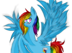 Size: 779x570 | Tagged: safe, artist:djambersky666, rainbow dash, g4, blushing, female, solo, spread wings