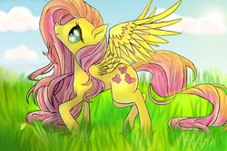 Size: 700x467 | Tagged: safe, artist:mb2tudios, fluttershy, g4, female, grass, solo
