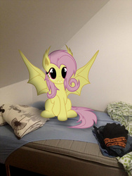 Size: 1500x2000 | Tagged: safe, artist:tellabart, editor:fakskis, fluttershy, bat pony, pony, g4, bed, bedroom, blanket, clothes, cute, flutterbat, irl, looking at you, photo, photoshop, pillow, ponies in real life, solo, vector