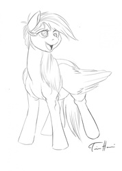 Size: 911x1280 | Tagged: safe, artist:artschmo, derpy hooves, pegasus, pony, g4, female, lineart, mare, monochrome, sketch, solo