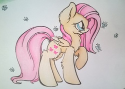 Size: 1888x1337 | Tagged: safe, artist:cutepencilcase, fluttershy, butterfly, g4, chest fluff, ear fluff, female, fluffy, raised hoof, solo, traditional art