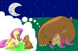 Size: 2692x1767 | Tagged: safe, artist:facelessguru, fluttershy, harry, g4, bandage, moon, night, sleeping, thought bubble