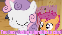 Size: 560x315 | Tagged: safe, screencap, scootaloo, sweetie belle, family appreciation day, g4, image macro, meme, purple text