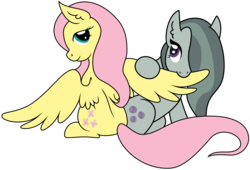Size: 2298x1562 | Tagged: safe, artist:inudewaruika, fluttershy, marble pie, pegasus, pony, g4, bedroom eyes, cute, female, lesbian, looking back, nom, preening, ship:marbleshy, shipping, simple background, sitting, smiling, spread wings, transparent background, vector
