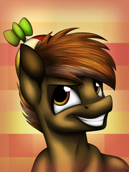 Size: 3000x4000 | Tagged: safe, artist:lupiarts, button mash, pony, g4, male, portrait, solo
