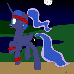 Size: 2000x2000 | Tagged: safe, artist:megaartist923, princess luna, pony, g4, exercise, female, high res, night, solo, sweatband