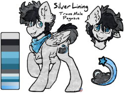 Size: 908x682 | Tagged: safe, artist:php166, oc, oc only, oc:silver lining, pegasus, pony, bandana, cutie mark, facial hair, male, reference sheet, stallion, trans male, transgender, wings