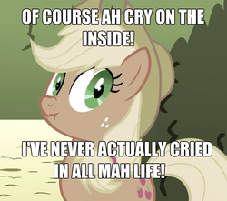 Size: 803x711 | Tagged: safe, screencap, applejack, earth pony, pony, g4, accent, crying inside, female, image macro, impact font, liar face, liarjack, mare, meme, scrunchy face, solo