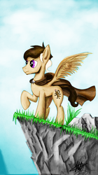 Size: 749x1334 | Tagged: safe, artist:novich, oc, oc only, pegasus, pony, cliff, male, raised hoof, rock, stallion