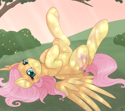 Size: 3000x2661 | Tagged: safe, artist:ratofdrawn, fluttershy, pegasus, pony, g4, bedroom eyes, belly button, blushing, crepuscular rays, cute, dappled sunlight, explicit source, female, high res, innocent, legs in air, looking at you, mare, on back, shyabetes, smiling, solo, spread wings