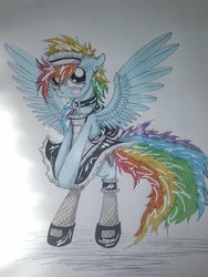 Size: 1024x1365 | Tagged: safe, artist:penkatshi, rainbow dash, pony, g4, bipedal, blushing, clothes, female, fishnet stockings, maid, sketch, solo, traditional art