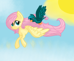 Size: 950x778 | Tagged: safe, artist:randomartist1324, fluttershy, bird, g4, flying, looking at each other, sky, spread wings, sun
