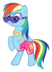 Size: 2152x2998 | Tagged: safe, artist:sollace, edit, rainbow dash, pony, g4, tanks for the memories, clothes, female, high res, midriff, shutter shades, simple background, solo, standing up, sunglasses, swimming trunks, swimsuit, transparent background, vector, winter swimsuit
