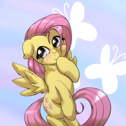 Size: 1000x1000 | Tagged: safe, artist:ushiro no kukan, fluttershy, g4, blushing, cute, female, floppy ears, shyabetes, solo, ushiro is trying to murder us