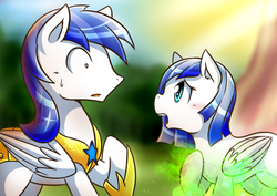 Size: 1131x800 | Tagged: safe, artist:vavacung, changeling, pegasus, pony, comic:caught between lust and love, g4, armor, disguise, disguised changeling, female changeling, foal, male, royal guard, shocked, stallion, transformation, wings