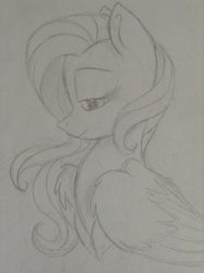 Size: 1936x2592 | Tagged: safe, artist:broohan, fluttershy, g4, female, monochrome, sketch, solo