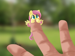 Size: 3000x2250 | Tagged: safe, artist:arielsbx, fluttershy, human, pegasus, pony, g4, blurry background, clinging, cute, female, hand, high res, in goliath's palm, looking at you, mare, micro, shyabetes, solo, spread wings, tiny ponies, weapons-grade cute, wings