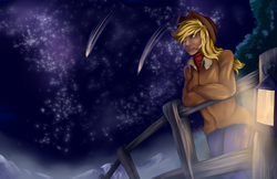 Size: 5100x3300 | Tagged: safe, artist:grennadder, applejack, human, g4, absurd resolution, female, fence, humanized, lantern, night, shooting star, solo, stars