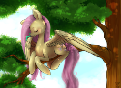 Size: 4252x3118 | Tagged: safe, artist:vappletree, fluttershy, caterpillar, g4, cute, eyes closed, female, solo, tree, tree branch