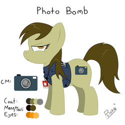 Size: 2000x2000 | Tagged: safe, artist:plinko, oc, oc only, oc:photo bomb, earth pony, pony, high res, photographer, reference sheet
