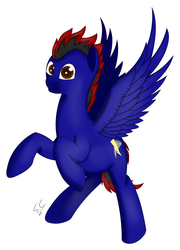 Size: 2064x2872 | Tagged: safe, artist:speed-chaser, oc, oc only, oc:speed chaser, pegasus, pony, high res, solo