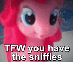 Size: 420x360 | Tagged: safe, pinkie pie, g4, animated, doll, female, image macro, inwards face, meme, ponk, ponkie poy, solo, tfw, toy