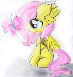 Size: 1024x1082 | Tagged: safe, artist:rainbowshine94, fluttershy, butterfly, g4, ear fluff, female, missing cutie mark, simple background, sitting, solo, spread wings, traditional art