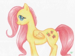 Size: 1024x759 | Tagged: safe, artist:lurpyloo, fluttershy, g4, cute, female, folded wings, no more ponies at source, profile, simple background, solo, standing, traditional art, white background