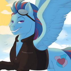 Size: 2000x2000 | Tagged: safe, artist:evehly, oc, oc only, oc:swiftwing, bird, pegasus, pony, clothes, cloud, cutie mark, goggles, grin, high res, jacket, looking at you, male, sky, solo, stallion, sun, wings