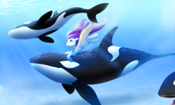 Size: 1750x1050 | Tagged: safe, artist:aidapone, fluttershy, orca, g4, female, looking up, puffy cheeks, solo, spread wings, underwater, watershy
