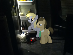 Size: 960x720 | Tagged: safe, artist:dreamland200, derpy hooves, doctor whooves, time turner, pegasus, pony, g4, bottle, chair, female, food, ginger ale, glass, i emptied your fridge, irl, jug, mare, milk, photo, ponies in real life, powerade, refrigerator, vector