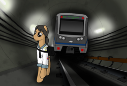 Size: 2648x1800 | Tagged: safe, artist:subway777, oc, oc only, earth pony, pony, bag, moscow, russia, subway, train, tunnel