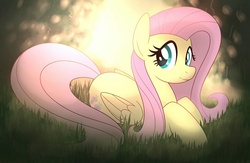 Size: 1719x1120 | Tagged: safe, artist:drawponies, fluttershy, g4, female, folded wings, forest, grass, looking at you, lying down, solo