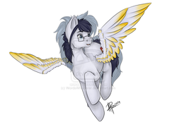 Size: 1024x724 | Tagged: safe, artist:wordswhisperer, oc, oc only, oc:maychi, pegasus, pony, rule 63, solo