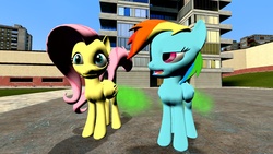 Size: 1920x1080 | Tagged: dead source, safe, artist:tacko marceno, fluttershy, rainbow dash, g4, 3d, fart, gmod