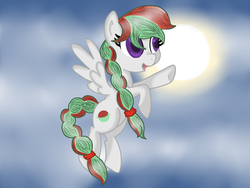 Size: 1024x768 | Tagged: safe, artist:unicorn2000, oc, oc only, oc:winter snowball, pegasus, pony, solo