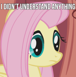 Size: 519x522 | Tagged: safe, edit, screencap, fluttershy, dragonshy, g4, animated, blinking, female, reaction image, solo, text