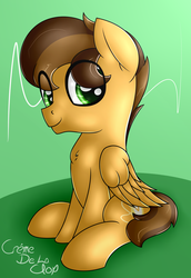 Size: 2750x4000 | Tagged: safe, artist:cremedelaclop, oc, oc only, pegasus, pony, male, smiling, solo, stallion, wings