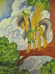 Size: 2262x3072 | Tagged: safe, artist:pony-paint, daring do, pegasus, pony, g4, bandage, female, grin, high res, in a tree, smiling, solo, traditional art, tree