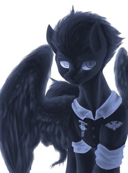 Size: 600x810 | Tagged: safe, artist:fw9z9mg6xi7ih2z, oc, oc only, pegasus, pony, belly button, solo
