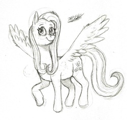 Size: 1270x1200 | Tagged: safe, artist:hypno, fluttershy, pegasus, pony, g4, female, monochrome, palindrome get, sketch, solo, spread wings, standing, traditional art, wings
