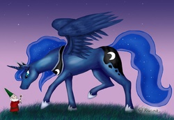 Size: 1600x1102 | Tagged: safe, artist:mcat711, princess luna, gnome, g4, female, flower, solo