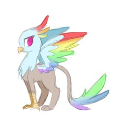 Size: 400x400 | Tagged: safe, artist:breadcipher, rainbow dash, griffon, g4, female, griffonized, simple background, sketch, solo, species swap, spread wings, white background