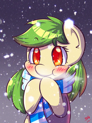 Size: 1200x1600 | Tagged: safe, artist:tikrs007, oc, oc only, oc:green cracker, blushing, clothes, cute, ocbetes, scarf, snow, snowfall, solo, winter