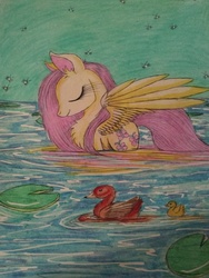 Size: 1024x1365 | Tagged: safe, artist:penkatshi, fluttershy, duck, pegasus, pony, swan, g4, chest fluff, female, mare, pond, sketch, traditional art, water