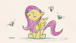 Size: 600x344 | Tagged: safe, artist:mitch-el, fluttershy, butterfly, g4, blushing, female, solo